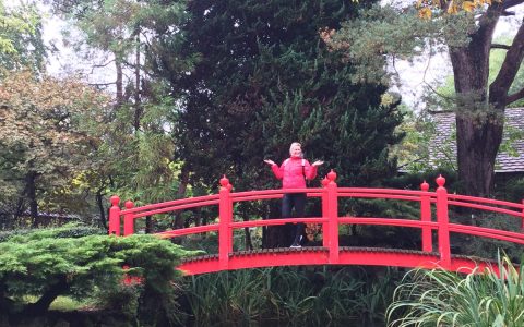 Japanese gardens in Kildare