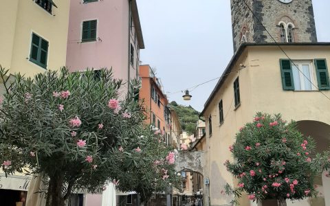 Straatje in Monterosso 