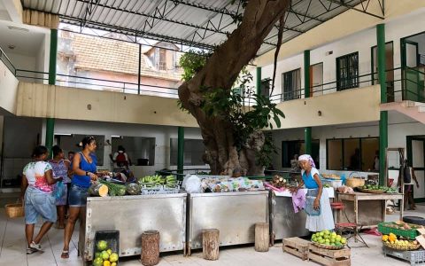 Groente & fruitmarkt (Santo Antão)